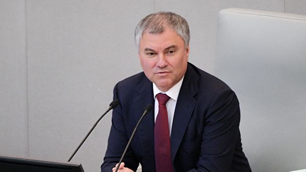 Володин возглавит Совет благотворителей "Справедливой помощи Доктора Лизы"