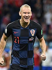 Вида Домагой